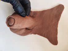 Upload image to gallery, Packer Exon