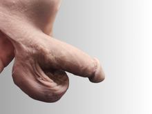 Charger l'image dans la galerie, OXY
